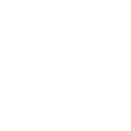 US Budget Watch 2020