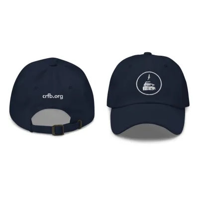 navy hat showing the front and back with logo on front and website link on back of hat